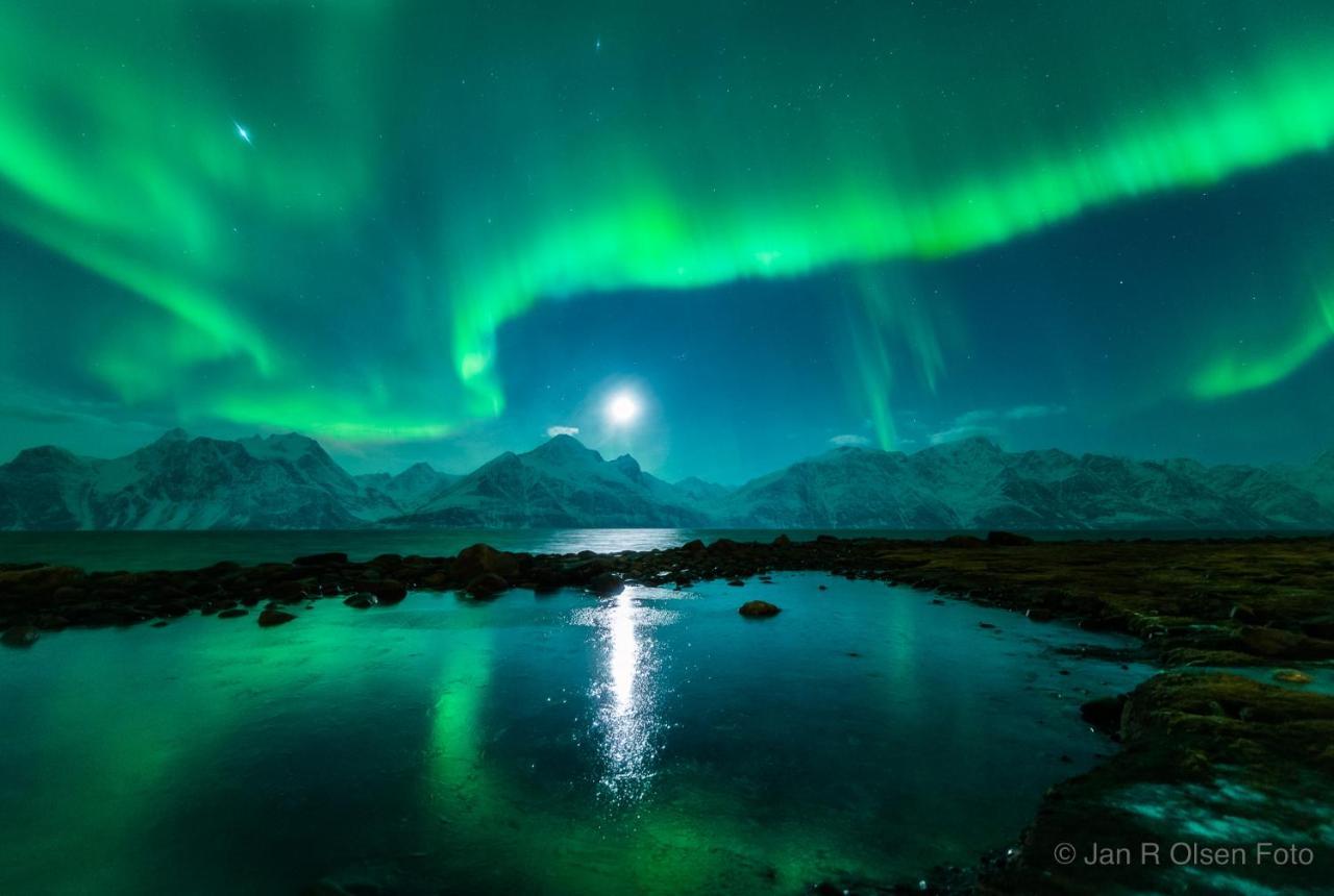 Leilighet Lyngenfjord,odins Hus