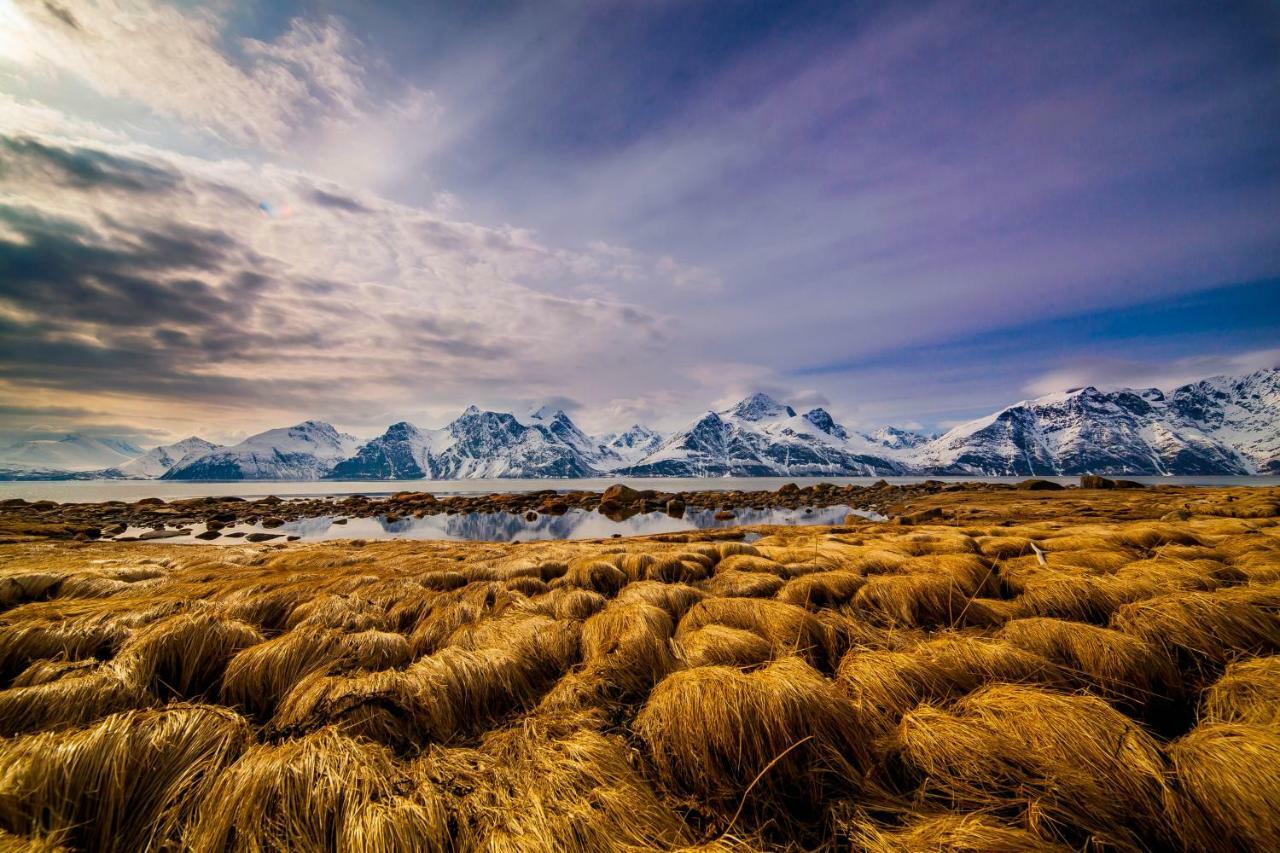 Апартаменты Lyngenfjord,odins Hus *