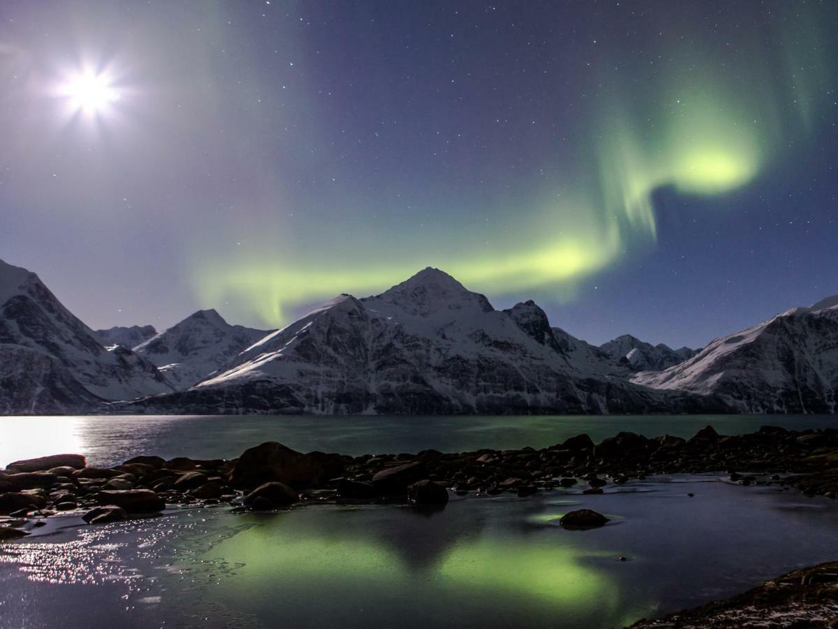 Апартаменты Lyngenfjord,odins Hus