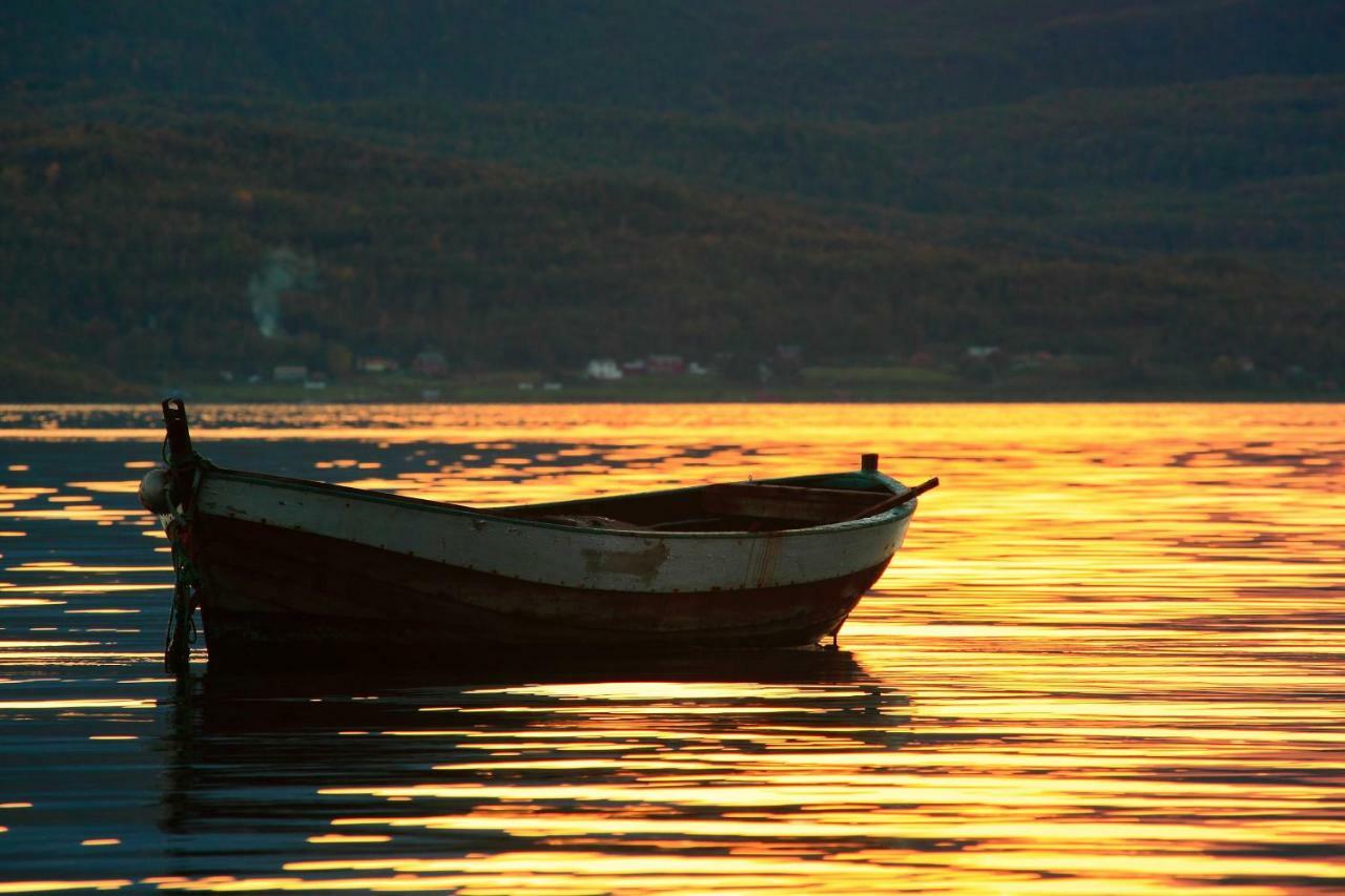 Lyngenfjord,odins Hus Olderdalen