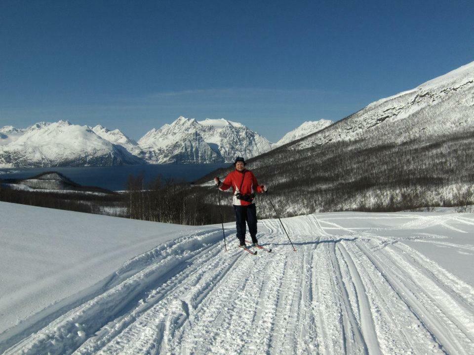 Leilighet Lyngenfjord,odins Hus *